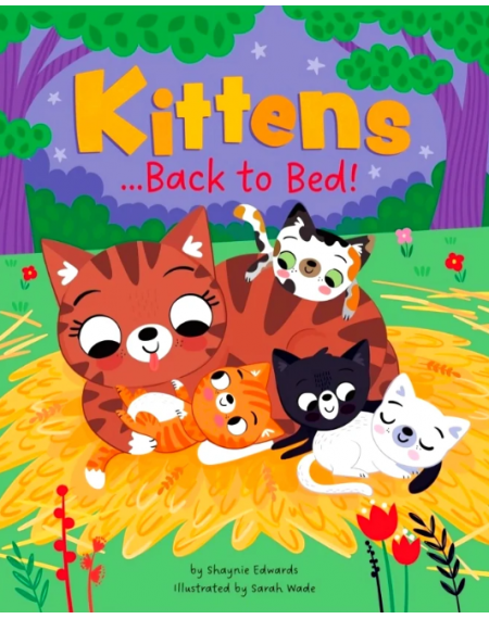 Picture Book: Go Back To Bed Kittens