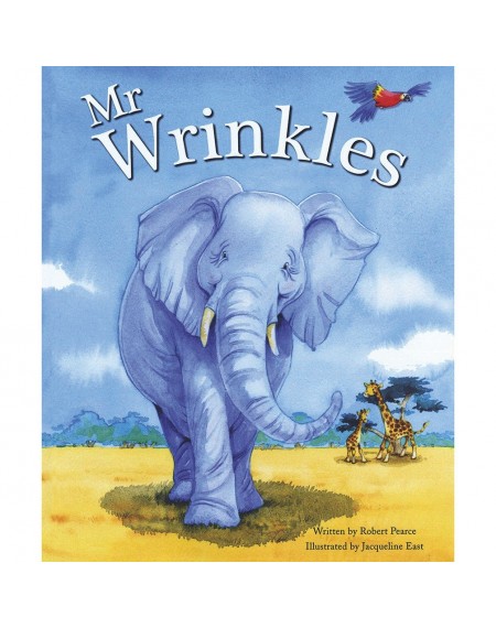 Picture Book : Mr Wrinkles