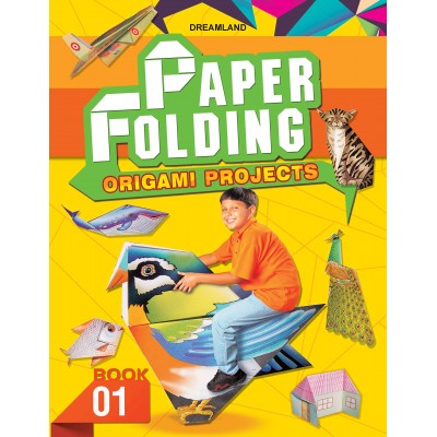 Paper/Origami Craft