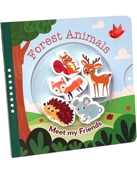 Meet My Friends - Forest Animals