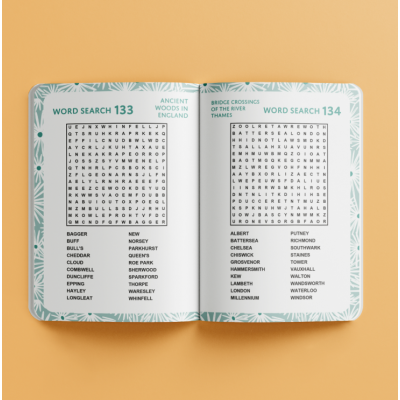 Brain Teasers & Puzzles