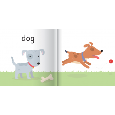 Picture Book