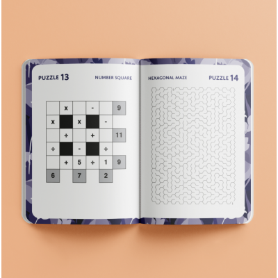 Brain Teasers & Puzzles
