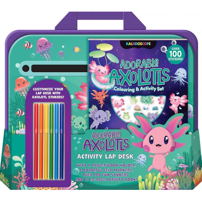 Sticker Activity Book