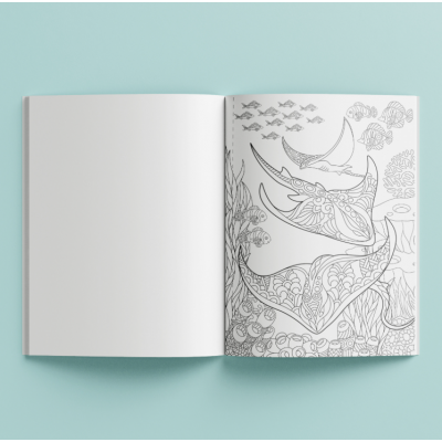 Activity Books