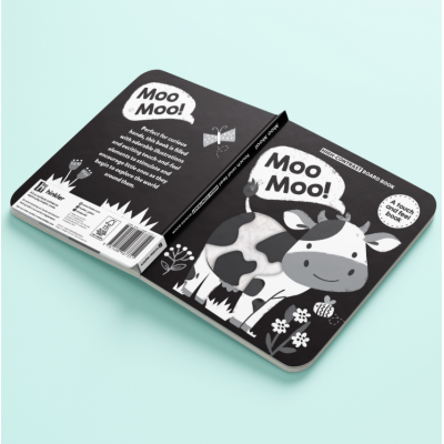 Touch and Feel Book