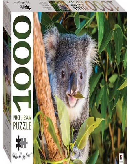 Mindbogglers: Koala, Australia
