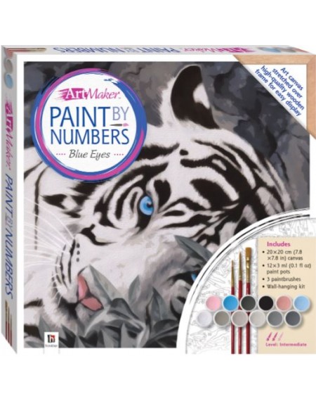 Paint by Numbers Canvas: Blue Eyes