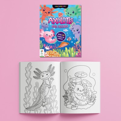 Sticker Activity Book