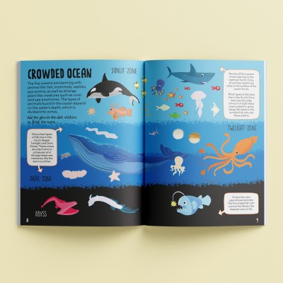 Sticker Activity Book