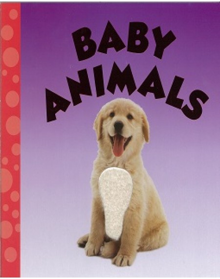 Baby Animals (Touch and Feel)
