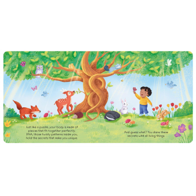 Picture Book