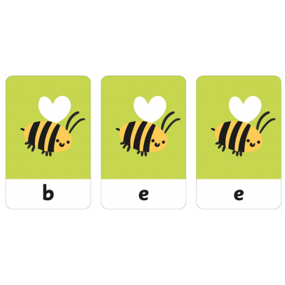 Flash Cards