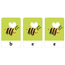 Flash Cards