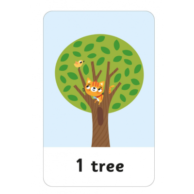 Flash Cards