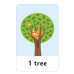 Flash Cards