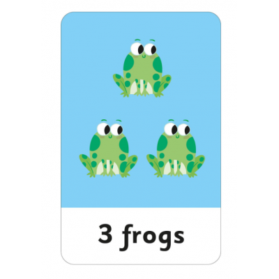 Flash Cards