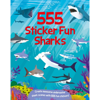 Sticker Activity Book