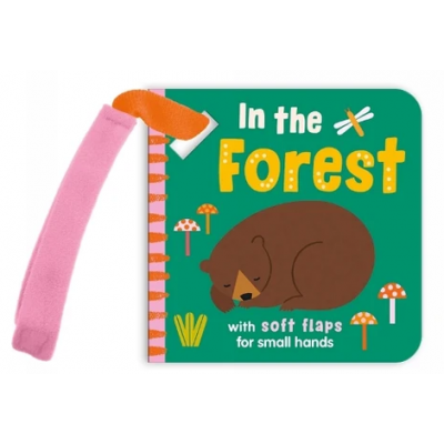 Lift the flap/ Slider Book