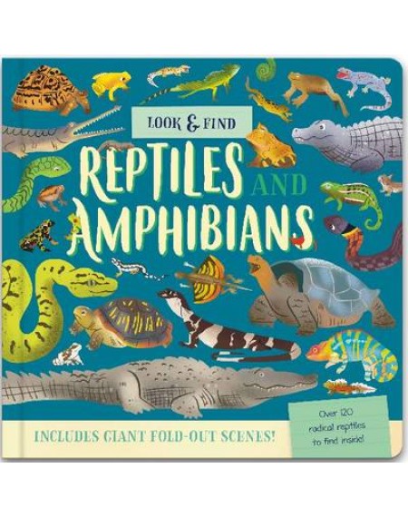 Nature Look And Find Board Book - Reptiles
