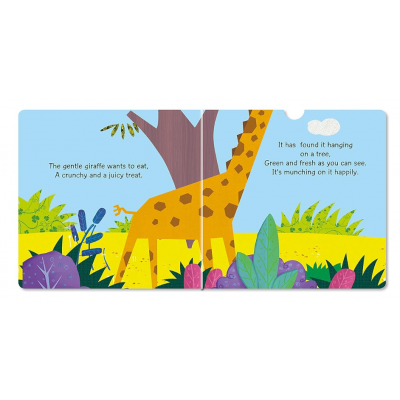 Lift the flap/ Slider Book