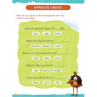 Brain Activity Book