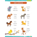 Brain Activity Book