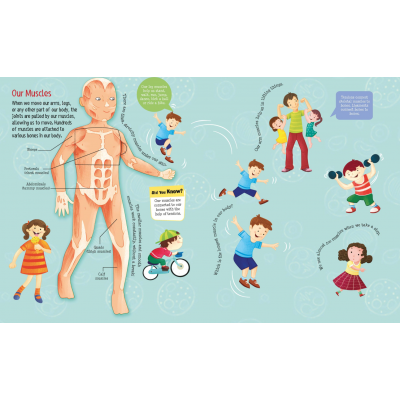 Lift the flap/ Slider Books