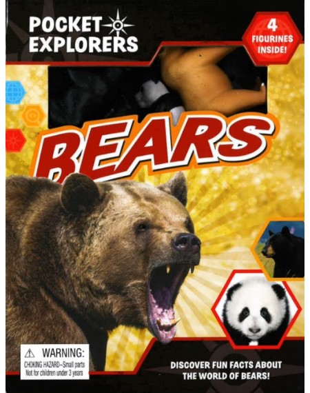 Bears Pocket Explorers