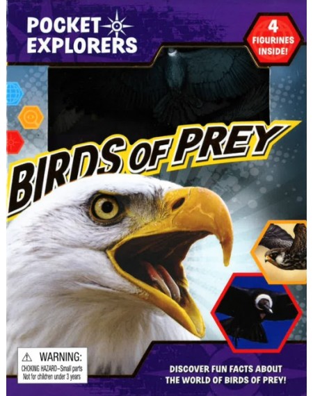 Pocket Explorers: Birds Of Prey