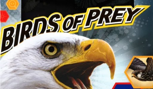 Birds of Prey (Visual Explorers Series)