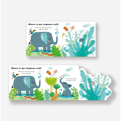 Lift the flap/ Slider Book