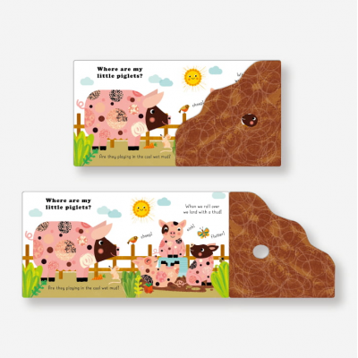 Lift the flap/ Slider Book