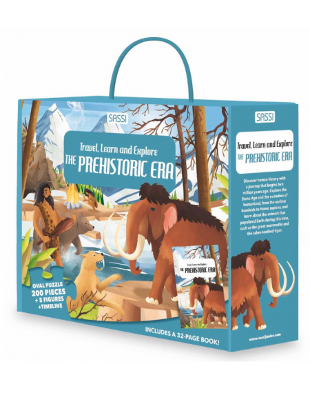 Carry Puzzle: Prehistory