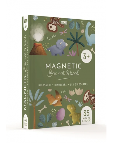 Magnetic Box Set - Dinosaurs