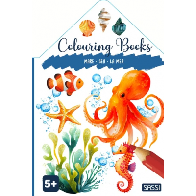 Colouring/Coloring Book