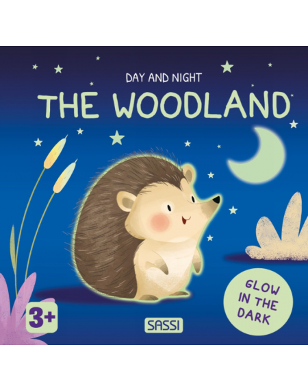 Day & Night - The Woodland