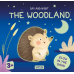 Picture Books