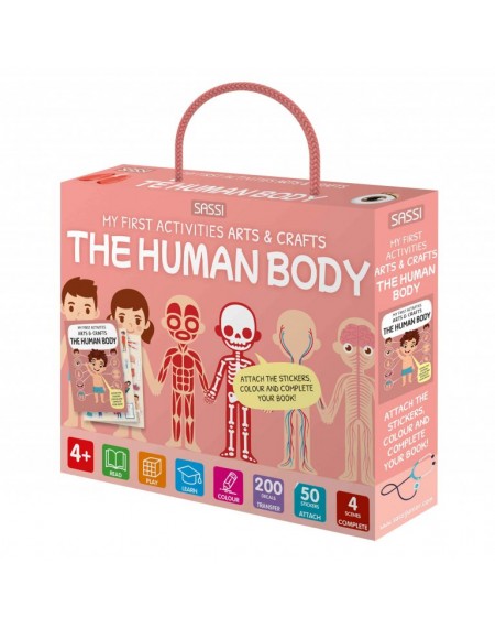 Arts And Crafts : Human Body