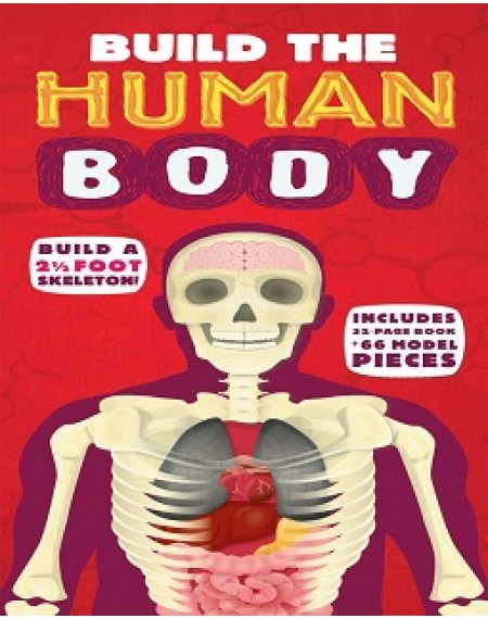 Build The Human Body