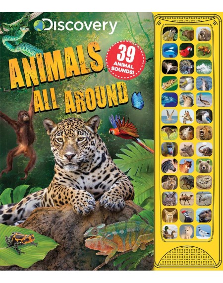 Discovery: Animals All Around Sound Book