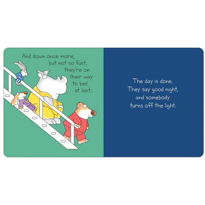 Picture Book