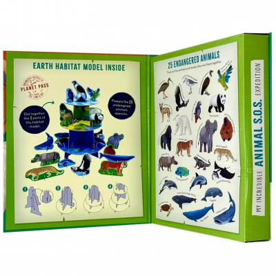 Activity Books