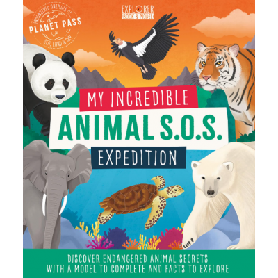 Activity Books