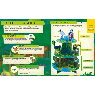 Activity Books