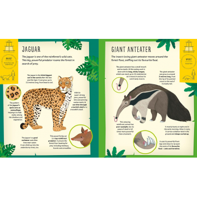 Activity Books