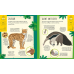 Activity Books