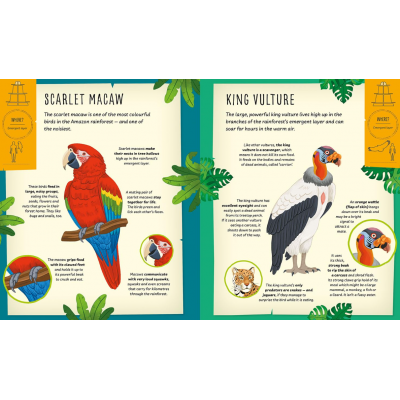Activity Books
