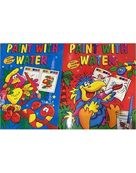 Paint With Water Book Red Cover