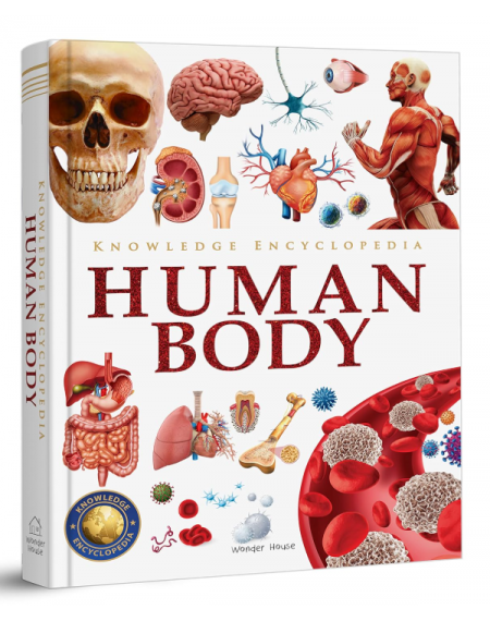 Knowledge Encyclopedia - Human Body